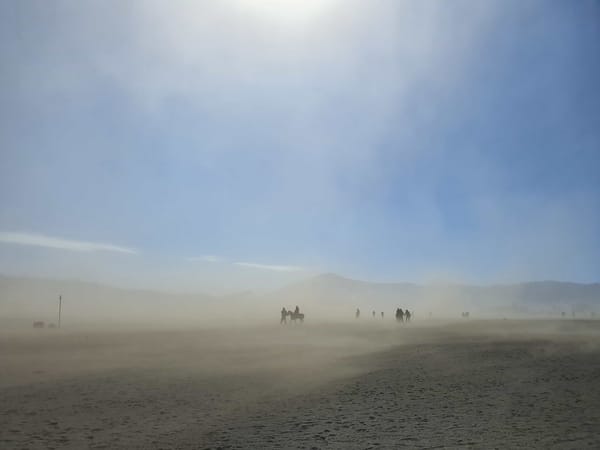 The State of AI for Programmer